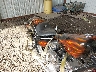 5XSSG29176C****** Wrecked 2006 Saxon Griffen