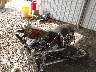 5XSSG29176C****** Used and Repairable 2006 Saxon Griffen in Shreveport