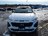 KM8K3CA38PU****** Wrecked 2023 Hyundai Kona in New Jersey State