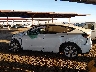 7SAYGDEE6PF****** Repairable 2023 Tesla Model Y in Arizona State