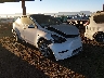 7SAYGDEE6PF****** Salvage and Wrecked 2023 Tesla Model Y in Phoenix