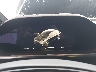 7SAXCBE50NF****** Salvamento 2022 Tesla Model X en Sacramento West