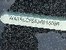 WA1BCCFS5JR****** Repairable 2018 Audi Q3