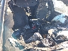 WA1CGAFP8FA****** Destrozados 2015 Audi SQ5 en Estado de Maryland