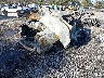 3N1CN8DV1ML****** Salvage and Wrecked 2021 Nissan Versa in Virginia State