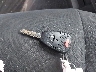 1J4PN2GK1BW****** Salvamento 2011 Jeep Liberty en Estado de Indiana