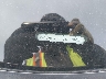 WAUHGAFC4DN****** Wrecked 2013 Audi A6
