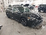 4T1G11AKXMU****** Salvage and Wrecked 2021 Toyota Camry in Saint Cloud