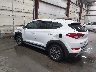 KM8J3CA25HU****** Salvage and Repairable 2017 Hyundai Tucson in Boise