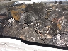 1J4PN2GK3AW****** Repairable 2010 Jeep Liberty in Chicago South