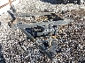 4YDT26027G7****** Salvage and Wrecked 2016 Keystone Hideout in Des Moines