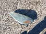5TDZA23C84S****** Salvage 2004 Toyota Sienna in New York State
