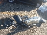 1FMCU0EG8CK****** Destrozados 2012 Ford Escape en Estado de Kansas