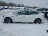5YJ3E1EA3MF****** Repairable 2021 Tesla Model 3 in New York State