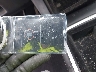 5YJ3E1EA3MF****** Salvage 2021 Tesla Model 3 in New York State