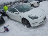5YJ3E1EA3MF****** Salvage and Wrecked 2021 Tesla Model 3 in Electric Vehicle Auctions