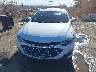 1G1ZD5ST1PF****** Destrozados 2023 Chevrolet Malibu en Estado de Nuevo México