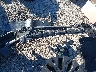 1FMJU1M80SE****** Salvage and Wrecked 2025 Ford Expedition in Oklahoma State