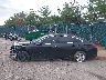 1G1ZB5ST8PF****** Salvamento 2023 Chevrolet Malibu