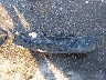 1C4PJLLB5MD****** Wrecked 2021 Jeep Cherokee in Illinois State