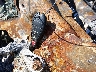 1C6RR6FT0JS****** Salvage 2018 RAM 1500 in Oklahoma State