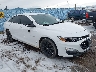 1G1ZD5ST0KF****** Salvamento y Destrozados 2019 Chevrolet Malibu en Missoula