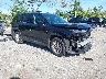 5TDACAB56RS****** Salvage and Wrecked 2024 Toyota Grand Highlander in West Palm Beach