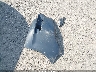 3N1CN7AP1CL****** Wrecked 2012 Nissan Versa in Arkansas State