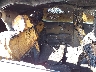 5XYPGDA3XHG****** Wrecked 2017 Kia Sorento in Englishtown