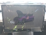 7SAYGAEE8NF****** Salvage 2022 Tesla Model Y in Honolulu