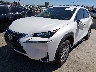 JTJYARBZ2G2****** Used and Repairable 2016 Lexus NX in North Hollywood