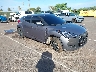 KMHTC6AD3GU****** Salvamento y Destrozados 2016 Hyundai Veloster en Honolulu
