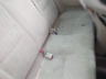 2HGFG12616H****** Destrozados 2006 Honda Civic en Houston