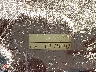 00000SXU100****** Wrecked 1998 Toyota Other