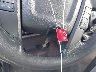 1FTRW12849F****** Salvamento 2009 Ford F-150 en Estado de Carolina del Sur