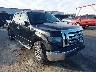 1FTRW12849F****** Salvamento y Destrozados 2009 Ford F-150 en Lexington