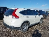 5J6RM3H3XEL****** Salvage and Wrecked 2014 Honda CR-V in Oklahoma State