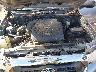 3TMMU4FN4EM****** Reparables 2014 Toyota Tacoma en Longview