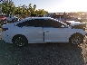 5NPE24AF4KH****** Destrozados 2019 Hyundai Sonata en Estado de Florida