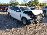 5NPE24AF4KH****** Salvamento y Destrozados 2019 Hyundai Sonata en West Palm Beach