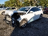 5NPE24AF4KH****** Usados y Reparables 2019 Hyundai Sonata en West Palm Beach