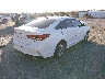 5NPE24AF4KH****** Salvamento y Destrozados 2019 Hyundai Sonata en Estado de Florida