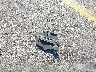 1HGCV1F32LA****** Wrecked 2020 Honda Accord in Florida State