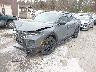 5NTJCDAF1RH****** Usados y Reparables 2024 Hyundai Santa Cruz en Burlington