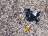 KNDJ23AU4M7****** Wrecked 2021 Kia Soul in Louisiana State