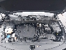 5XYK33DF5RG****** Repairable 2024 Kia Sportage in Long Island