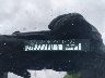 5XYK33DF5RG****** Wrecked 2024 Kia Sportage