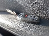 WAULFAFR4EA****** Salvamento 2014 Audi A5 en Estado de Massachusetts