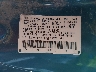 5J6YH28503L****** Used 2003 Honda Element in Phoenix