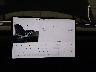 5YJ3E1EA8SF****** Repairable 2025 Tesla Model 3